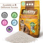 Clumping Cat Litter Highly  Absorbent Bentonite Odour Control 10L Kitten Hygiene