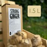 Strong Ginger Juice, 100% Vegetable & Fruit-Based, 1.5L NFC No Preservatives