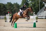 Equi-Jumps ( Sold as a Pair )
