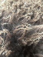 Raw Sheep’s Wool - Black Blueface Leicester Fleece Crafts Spinning