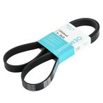 Car Multi V Drive Belts 6PK1245 Ribbed V-Belt 5750YX 1682006 96817523 9681752380