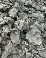 Montana Enchantress – Petrol-Forward Grey Clay
