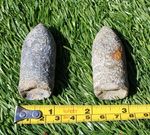 Victorian Nordenfelt Relic 1inch 