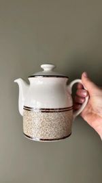 Royal Doulton Steelite Country Club Palm Springs teapot