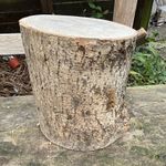 Round ash Solid Wood Wood turning/arts and crafts ￼🪵😀
