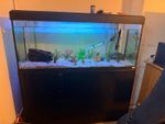 Fluval 240 with cabinet and external filter