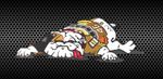 Guido the dog decal MotoGP, Valentino Rossi,Yamaha YZR-M1, The Doctor