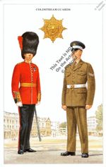 COLDSTREAM GUARDS British Army Uniform & Badge Postcard #22