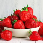 Strawberry 'Cambridge Favourite' Hardy Mid Season Bare Root Garden Fruit Plants