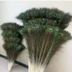 10/20Pcs Natural Peacock Feathers Real Peacock Tail Feathers 25-45CM Home Decor
