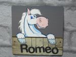 Pony name plate  Personalised Horse stable plaque sign name white grey