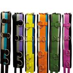 Lunging Strap Nylon Deluxe