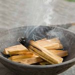 Palo Santo x7 Sticks - Wild Harvest - 100% Sustainable Genuine Palo Santo Wood