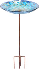 Glass Bird Bath for Outdoors, Peacock Birdbath with Metal Stake
