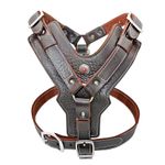 Heavy Duty Real Leather X-Large Dog Harness Boxer Rottweiler Doberman XL 2XL 3XL