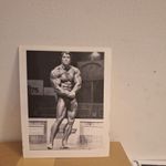 ARNOLD SCHWARZENEGGER bodybuilding muscle photo Termainator POSTCARD