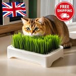 Cat Grass Growing Kit Hydroponic Wheat Grass Planter Indoor Pet Pot