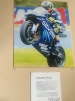 RARE VALENTINO ROSSI COLLECTOR'S PRINT – 313/555