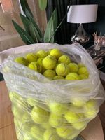 Selection of 30 Used Tennis Balls for Dogs Great Condition