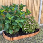 Woodside Wooden Log Roll Border Fence, Staked Garden Edging for Flower Beds etc