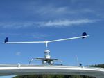 SCAREGULL-Bird Scarer for Boats-Eco safe-Wind powered-Easy fit-Stops Gull Mess