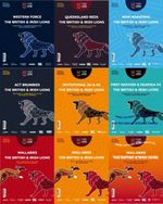 BRITISH & IRISH LIONS AUSTRALIA TOUR 2025 PROGRAMMES BUY SETS or INDIVIDUALLY