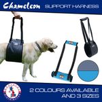 Dog Pet Harness Support lifting  Strap Leash -4 sizes -2 colours