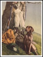 GERMAN SHORTHAIRED POINTER DOG GUN ART PRINT POSTER
