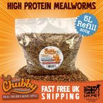 5L Refill Dried Chubby Mealworms Wild Bird Food Garden Bird Fish Treats