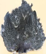 GUINEA FOWL BODY FEATHER,SKIN,NATURAL COLOUR,FLYTYING ARTS AND CRAFT 