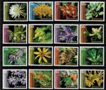 Bahamas 2019 - Native Plants Flowers - Set of 16 Definitive Stamps - MNH