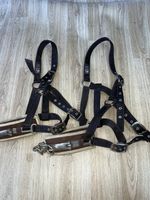 Cottage Craft Lunging Cavesson Webbing Large (D)