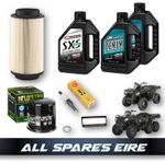 POLARIS SPORTSMAN 570 EFI SERVICE KIT (2014-2021) INC OIL, FILTERS, PLUG