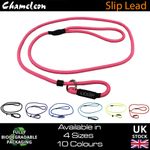 Strong Slip Rope Pet Dog Puppy Nylon Lead Leash  No Collar Needed 1.2m