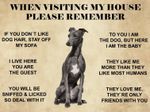 Funny Greyhound Dog metal wall sign House Rules kitchen dog lovers plaque gift