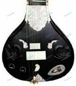 High Quality Electric Travel Sitar String Instrument Mizrab, Strings With Bag