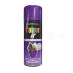 Purple Gloss Spray Paint Aerosol Auto Car Lacquer Wood Metal 250ml