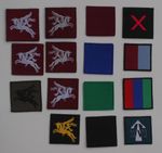 British Army - Parachute Regiment & Pegasus Patches