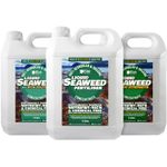 Organic 100% Hebridean Liquid Seaweed Fertiliser & Plant Food 500ml - 20L Sizes
