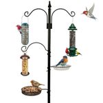 NEW TRADITIONAL BIRD FEEDING FEEDER FEED STATION WATER BATH SEED TRAY HANGING