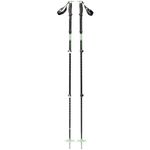 Black Diamond Expedition 3 Ski Poles - 125cm (Desert Sage)