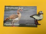 None RSPB Badges GS Collection Egyptian goose  