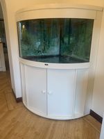 Aquarium fish tank with stand. Fully equipped.