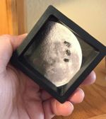 3 Genuine Moon Rocks, XL Lunar Meteorites Interactive Display, Authenticity Card