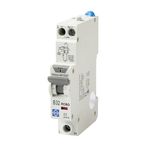 Lewden Compact RCBO Double Pole 30mA Switched Neutral