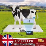 Digital Veterinary Scale Stainless Steel for Pet Dog Animal Livestock 500kg Load