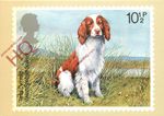 Picture Postcard- 1979 PHQ 33(B) 10.5P BRITISH DOGS, WELSH SPRINGER SPANIEL