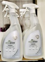 1x EcoEgg Stain Remover 750ml Laundry Spray – Discontinued | Best Value on eBay