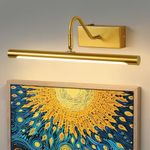 LED Picture Lights 40CM Gold Wall Light for Mirrors – 8W 3000k Swivel Head