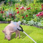 65cm Rechargeable Pig Catching Tool Animal Driving Electric Prod Pig Catch /